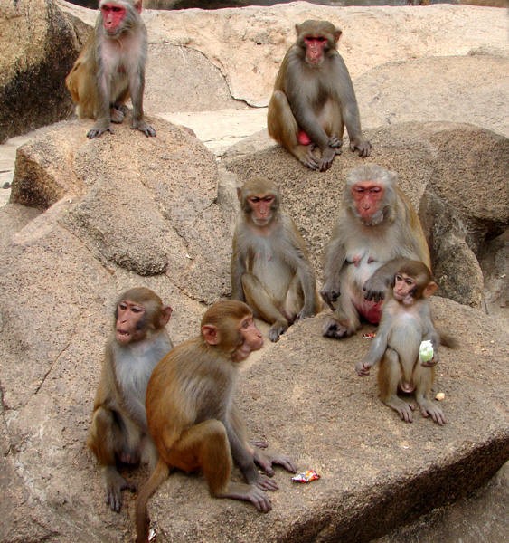 attachments-2016-07-tjmjNBod579b36debf6d