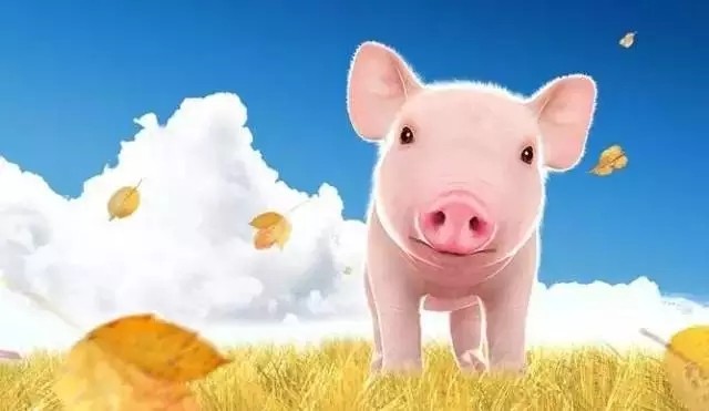 attachments-2016-10-MDwOVBYO580b33ef1dd8