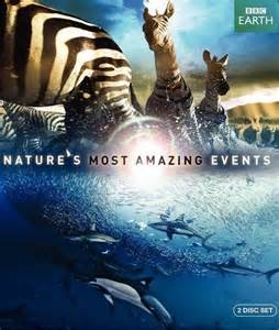 attachments-2016-11-2v1Sx5yj5830117f75d6