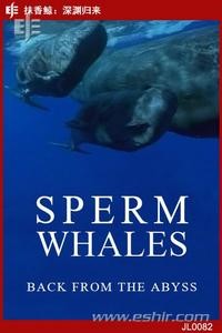 attachments-2016-11-Bpng7tZc583016e66a37