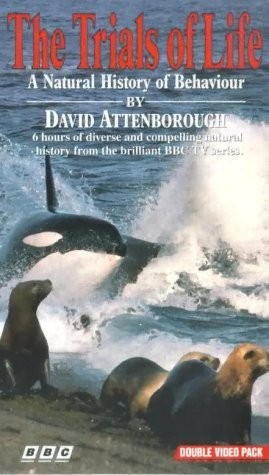 attachments-2016-11-EDi5NKj45830184a38c2