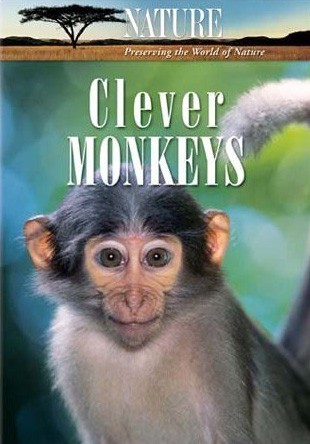 attachments-2016-11-FDxE1Acn583019106a05