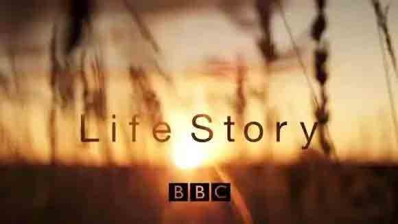 attachments-2016-11-G6IBqWLp582ffac05f91