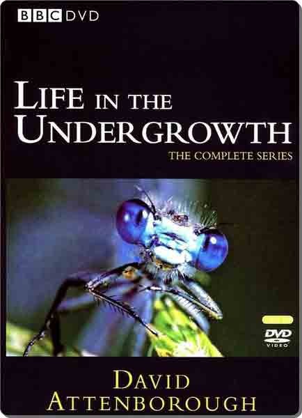 attachments-2016-11-I0Sr7YXs583005563057