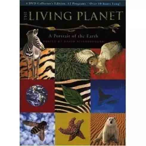 attachments-2016-11-LZ0GGrL8582ffaff09ec