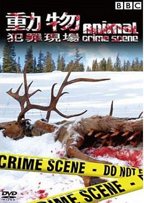 attachments-2016-11-O1E4sP2I5830171935b6