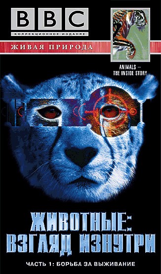 attachments-2016-11-UhJvt1OV5830029cc7dd