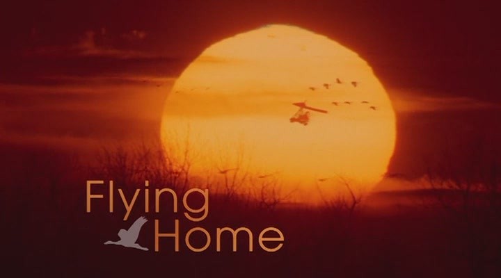 attachments-2016-11-depYvtEO583017d0a219