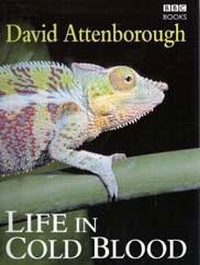 attachments-2016-11-jQi2ZUda583002088767