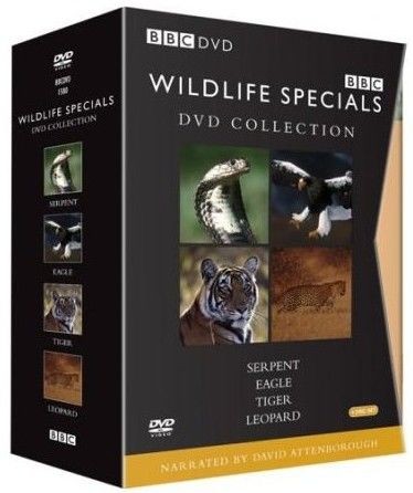 attachments-2016-11-mXWRZ1rL58300f2e96cd