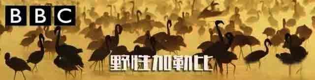 attachments-2016-11-w7T0XJtQ582ffbde811c