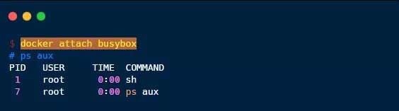 attachments-2021-03-V8SfZFRx6057200ee9fb3,jpg