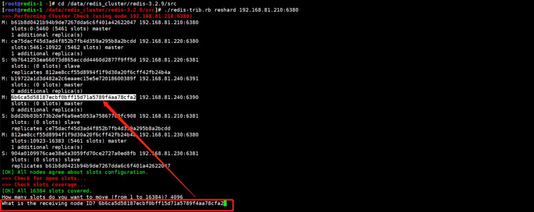 attachments-2023-06-B6Hnk7pf648075236b818,png