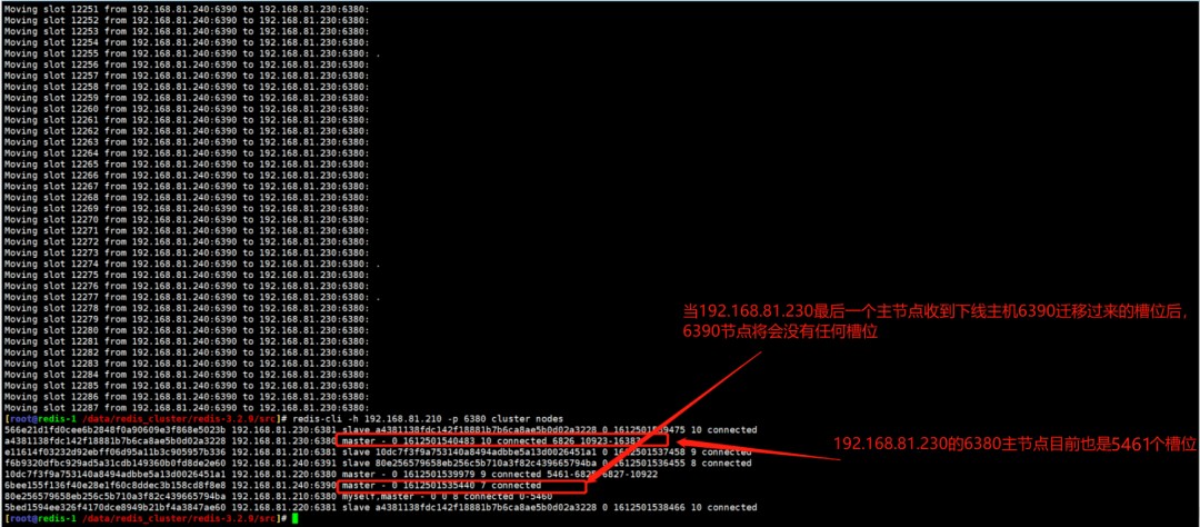 attachments-2023-06-ERGukim0648145e269c28,png