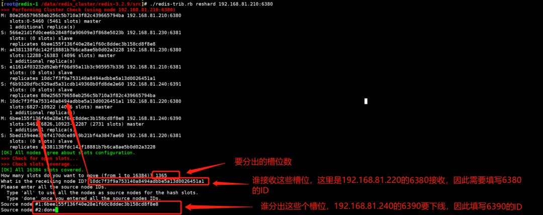 attachments-2023-06-QeqeurUg6481452929579,png