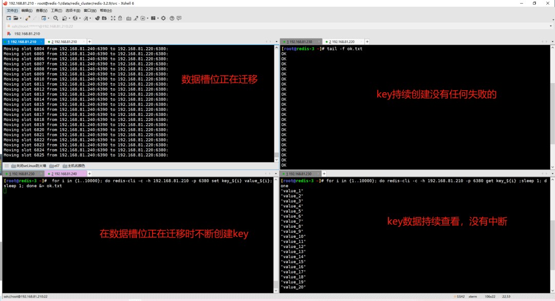 attachments-2023-06-leZgZcxC6481465791667,png