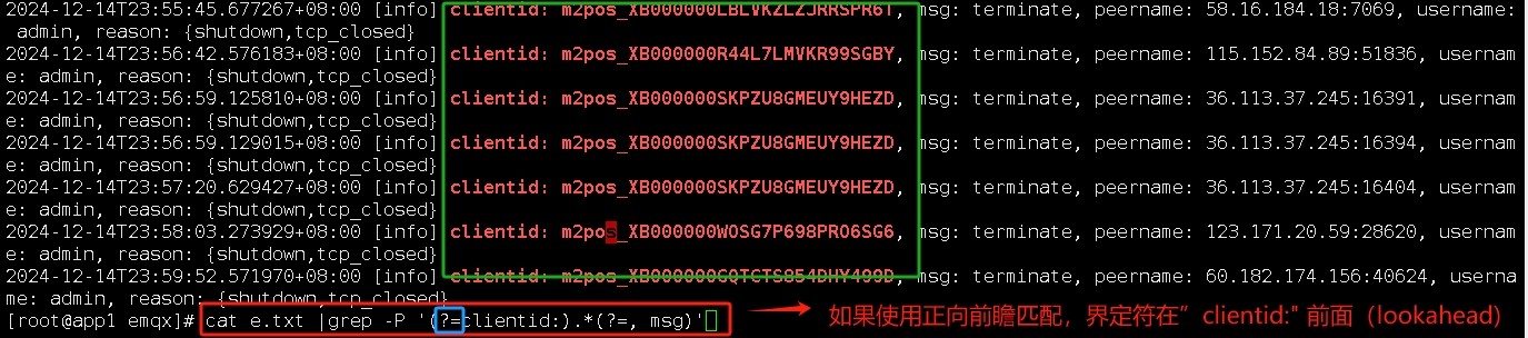 attachments-2024-12-NzAukNZP675eef42bb38a,png